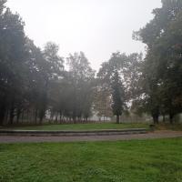 Vue générale du site