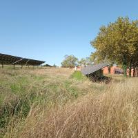 Différenciation des coupes strate herbacée parc photovoltaïque 