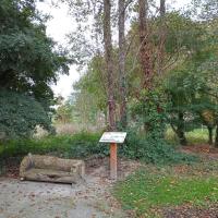 Mobilier en bois récupéré