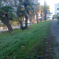 Bande de propreté le long des circulations