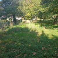 Zones refuges strate herbacée haute