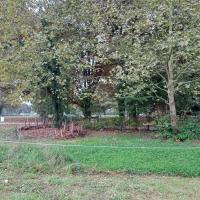 Haie de benges et stockage d'humus