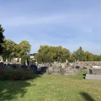 Pelouse du cimetière