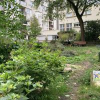 Jardin partagé