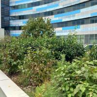 Espace de jardinière