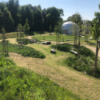 Espaces verts présents sur site