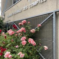Massif fleuri