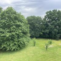 Vue aérienne de la pelouse arborée