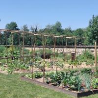 Potager pédagogique