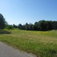 Zone de paturage