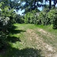 Emplacement