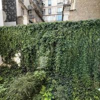 musee-du-quai-branly-jacques-chirac-arp-astrance-2026-10