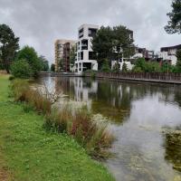 Plantation en berge