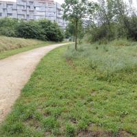 Tonte en bordure de cheminement
