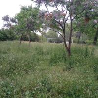 prairie de fauche