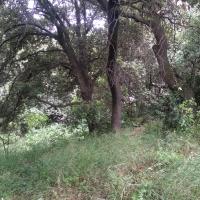 Zone refuge