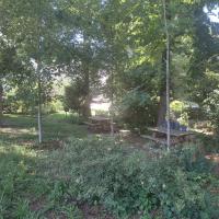 Sous bois avec renouvellement du patrimoine arboré