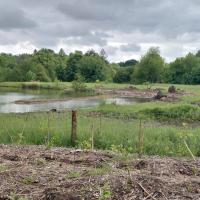 Aménagement d'un milieu aquatique