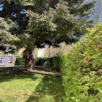 Pelouse arborée
