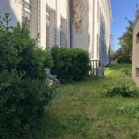 Pelouse et massifs en bordure de bâtiment