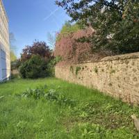 Pelouse et massifs en bordure de bâtiment