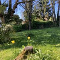 Pelouse arborée
