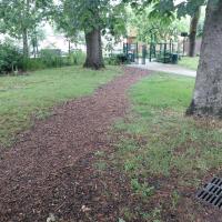 Mise en place de paillage sur un chemin d'envie