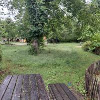 Hauteur différente de strate herbacée