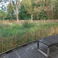 Audit - Bois de l'Aurore - 2026 