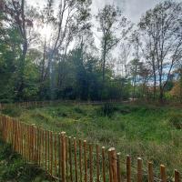 Audit - Bois de l'Aurore - 2026 