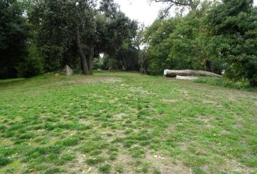 1_Marseille-Parc_Buzine%C2%A9Brassica_2015.JPG