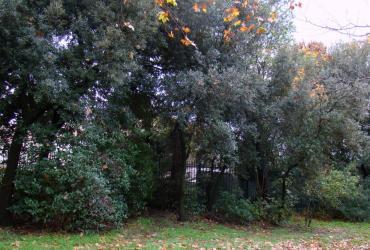 1_Montpellier-Parc_Pastourelles%C2%A9CIME_2015.JPG