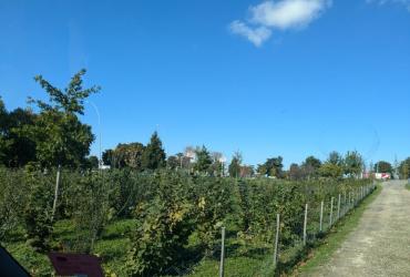 ADP_ORLY VILLE_©Arp-Astrance_2024 (1).jpg