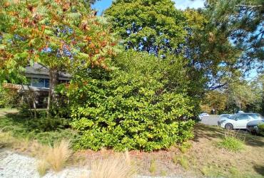 Belambra_Dourcan©Arp-Astrance_2023 (4).jpg