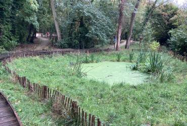 Bois_Aurore_Antony©Arp-Astrance_2023 (1).JPG