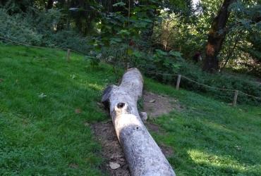 Cerisaie_Lyon©Brassica_2020 (2).JPG