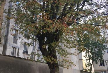 Dorian_Picpus_ParisHabitat©Arp-Astrance_2022 (3).JPG