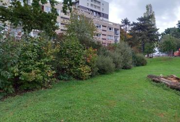 EV_accompagnement_Q11-2_Rennes©Arp-Astrance_2023 (1).jpg