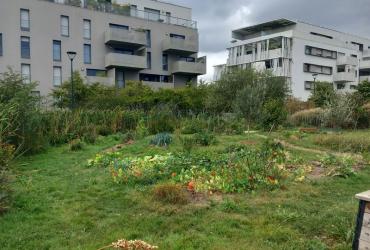 EV_accompagnement_Q4_Rennes©Arp-Astrance_2023 (1).jpg