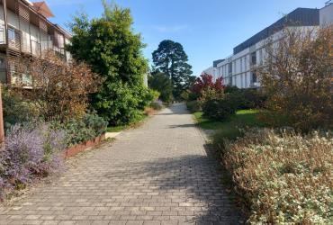 EV_accompagnement_Q5_Rennes©Arp-Astrance_2023 (1).jpg