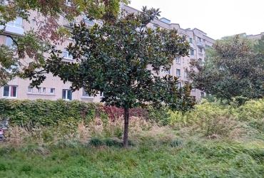 Ecole_Plein_Air_Pantin©Arp-Astrance_2023 (5).jpg