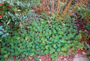 Espace_Deco©Arp-Astrance_2023 (3).jpg