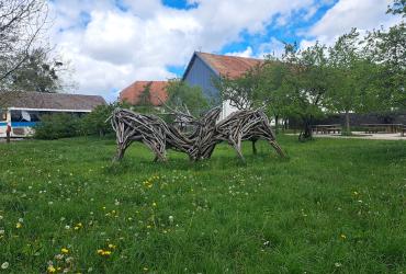 FermeCourbet-25 (1).jpg