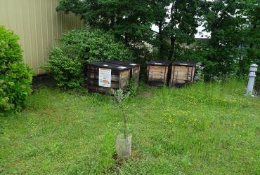 Gustave_Eiffel_2024 (1).jpg