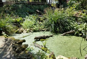 Iloz_SPL_Segapal©Alticime_2023 (5).jpg