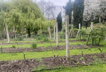 Jardin_Botanique_GPSO©Arp-Astrance_2023 (1).JPG