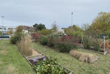 Jardin_Maison_Vegetal_Plante_&amp;amp;_Cite©Arp-Astrance_2022 (1).JPG