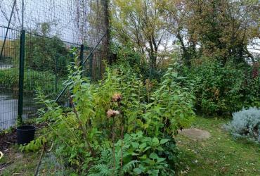 Jardin_Naturoscope_Puteaux©Arp-Astrance_2023 (8).jpg