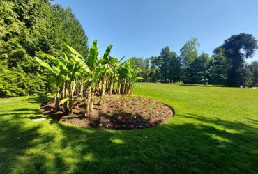 Jardin_Parc_Vitre©Arp-Astrance_2022 (17).jpg