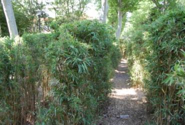 Jardin_Revolution_Narbonne©Heliantheme_2014 (1).jpg